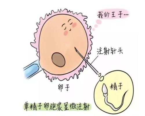代怀生子价格,普及一下!北京助孕选择包性别?